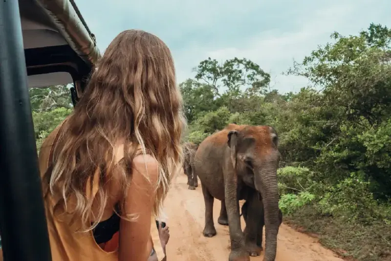 Safari Tour in Yala National Park