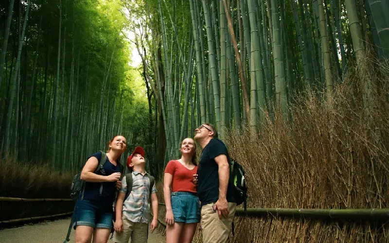 Itinerario Giappone 12 giorni, Itinerario da Tokyo a Oska 