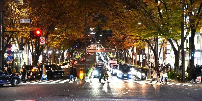 Harajuku: Moda, Cultura y Magia en el Corazón de Tokio