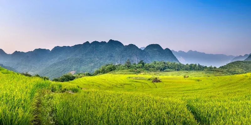 Vista panorámica de los hermosos terrazas verdes de la comuna de Pu Luong, provincia de Thanh Hóa, Vietnam.