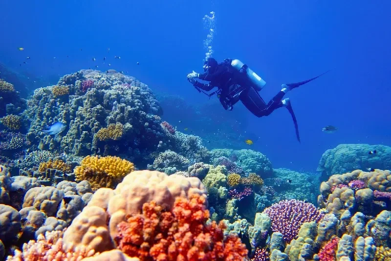  Tauchen im Roten Meer