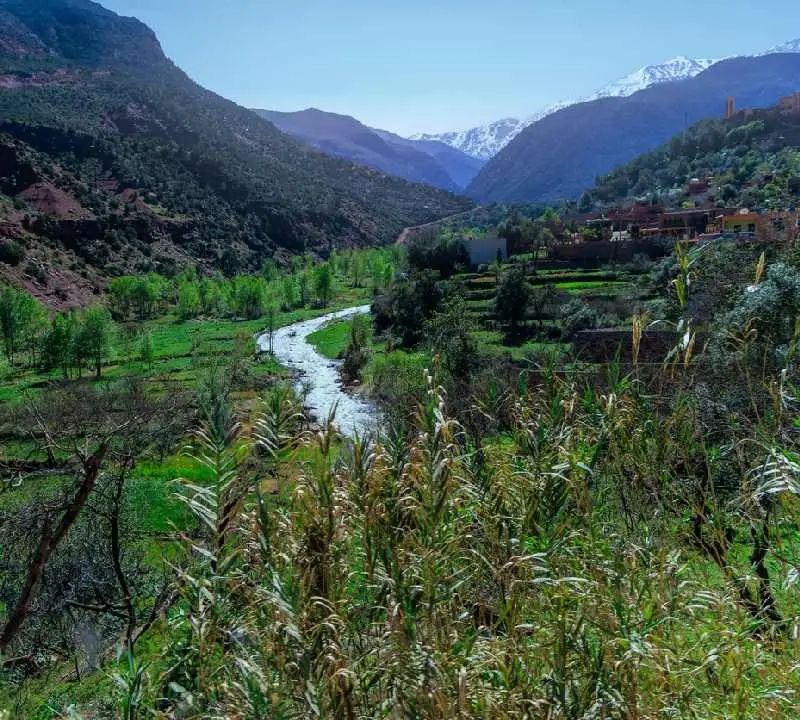 Vale das Amendoeiras 