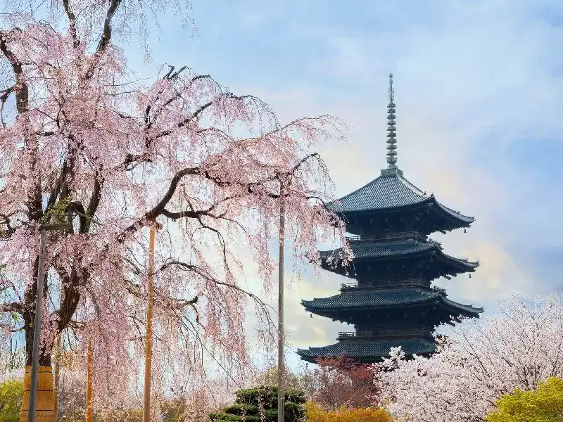 Templo Toji en Kioto: La Pagoda Más Alta de Japón