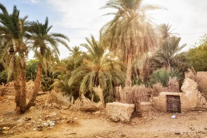 El-kharga Oasis, Kharga Oasis Egypt