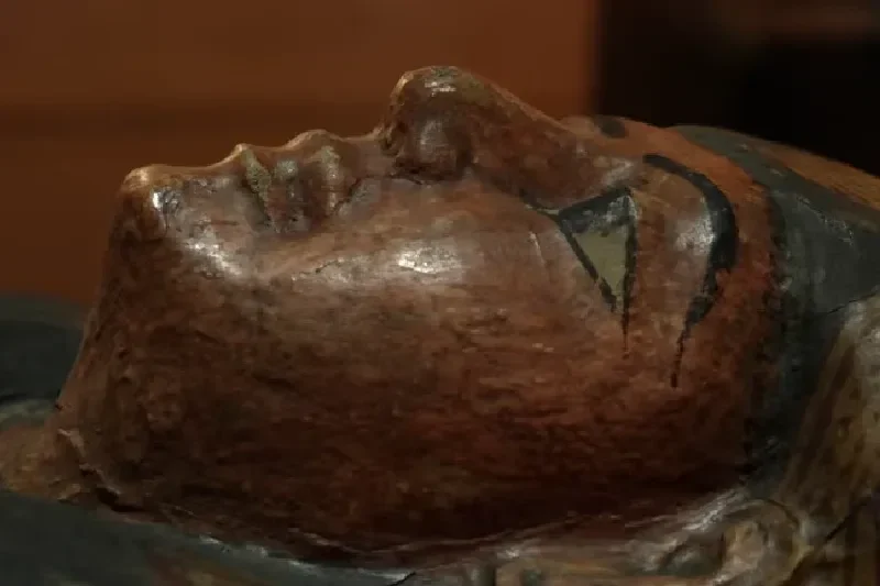 Bemalter antiker Holzsarkophag-Deckel aus dem alten Ägypten, Taikashet – „Dame des Hauses“, aus einem Grab mit symbolischer Darstellung der Bestattungskultur