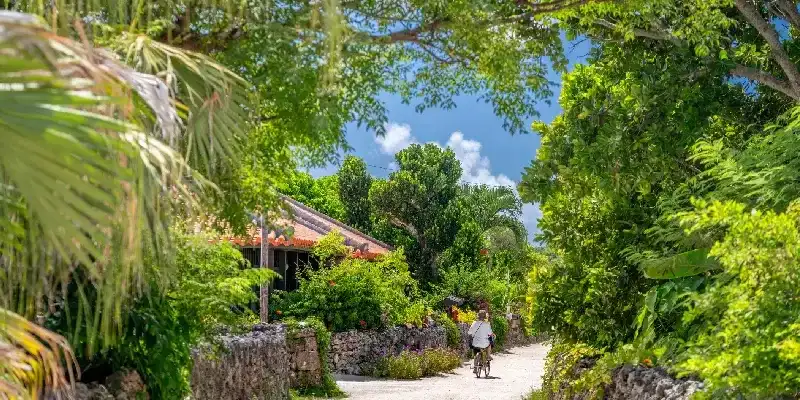 El Legado de Ryukyu: Historia y Cultura de Okinawa