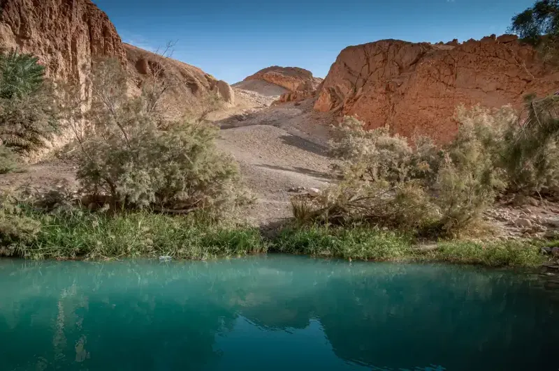 Oasis in the middle of Sahara Desert close to the town of Tozeur, Tunisia