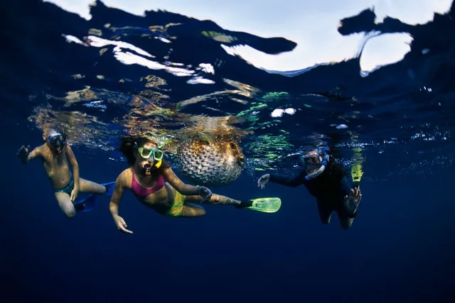 Schnorchelausflug zur Giftun Insel