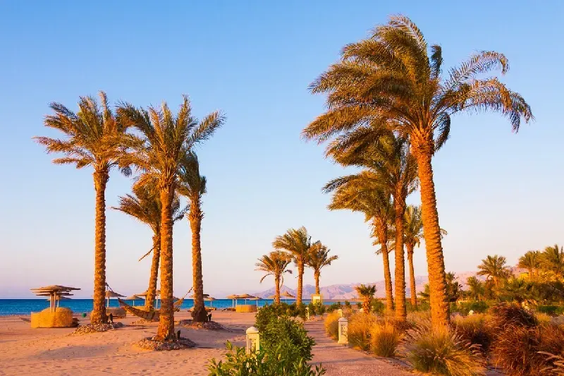 Ruhiger Sandstrand in einem tropischen Resort mit sonniger Atmosphäre am Meer.