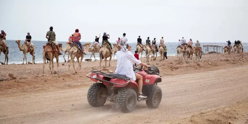 Safari por el Desierto