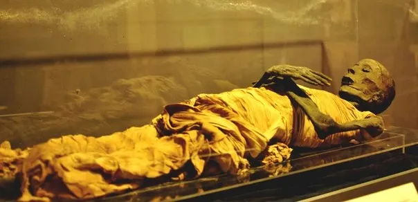 Sala delle Mummie Museo del Cairo: Storia e Misteri