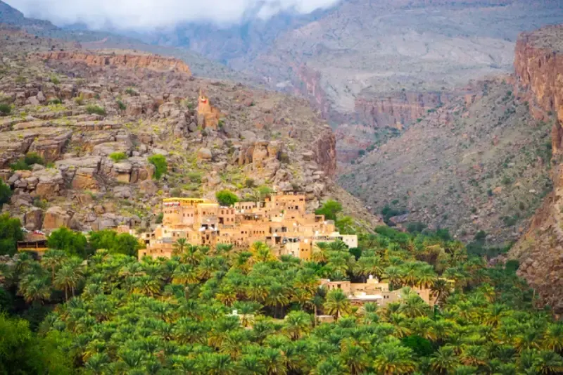 Palmeto del villaggio di Misfat al Abriyeen, in Oman.