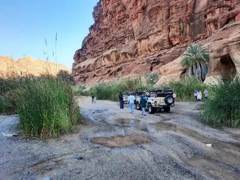 Wadi Al Disah: Guía del Valle Más Bello de Arabia Saudita
