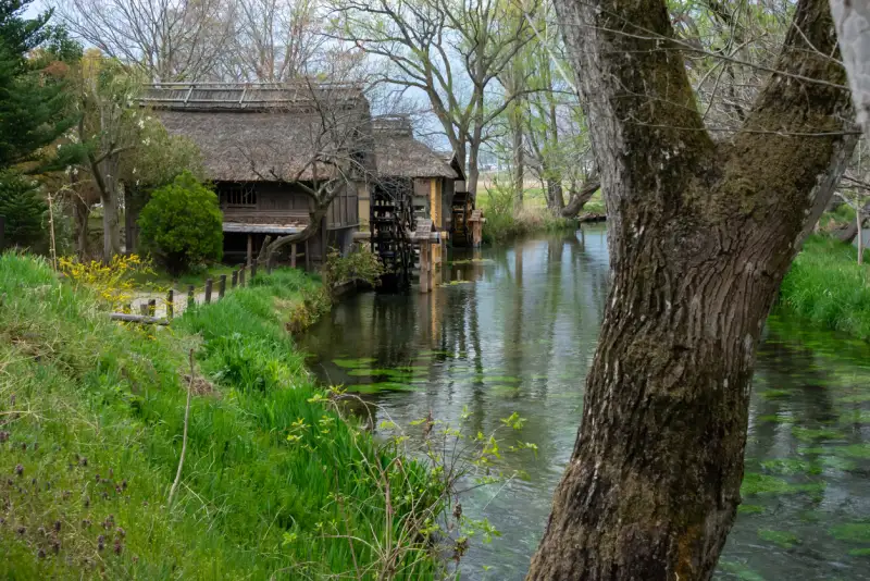 attractions-and-experiences-in-japan