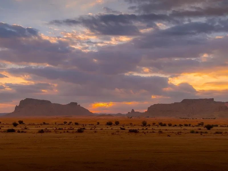 Rub al-Jali: Guía Completa del Desierto del Cuarto Vacío