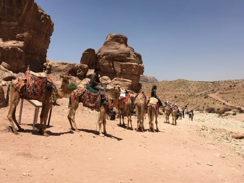 Group Tour : Petra and Wadi Rum Shore Excursion