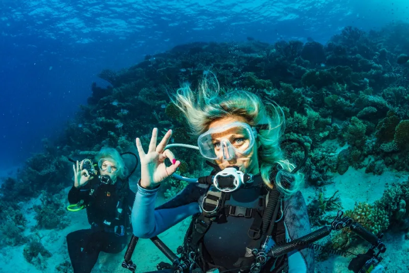 Snorkeling Tour to Ras Mohamed & White Island Snorkeling Tour to Ras Mohamed & White Island