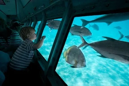 U Boot in Sharm elsheikh