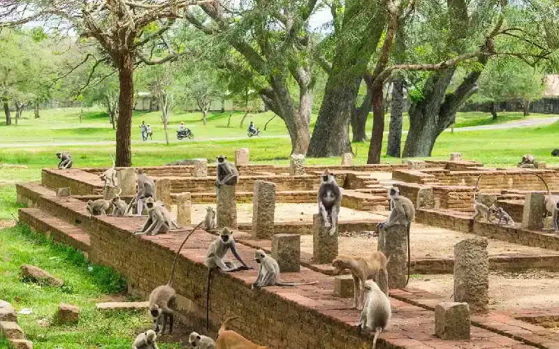 Anuradhapura