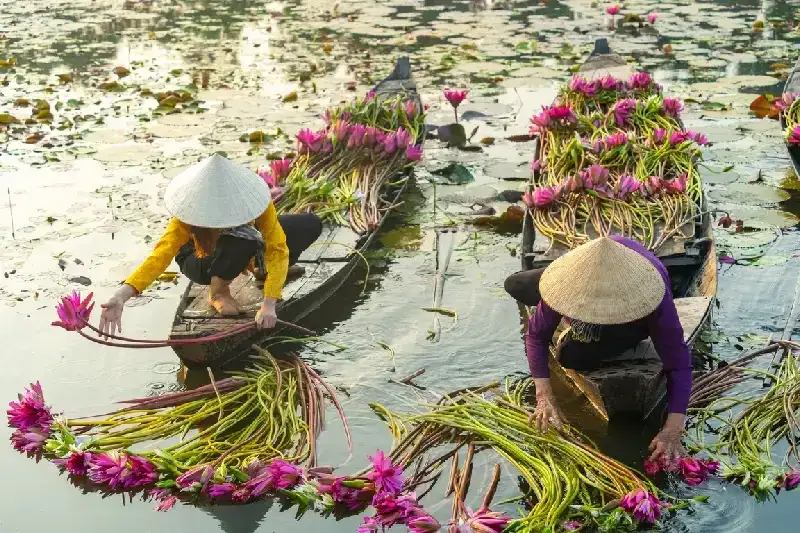 The Mekong Delta