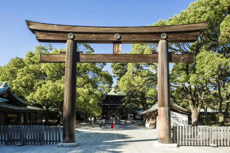 meiji-shrine