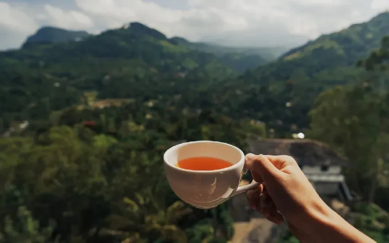 tè Sri Lanka