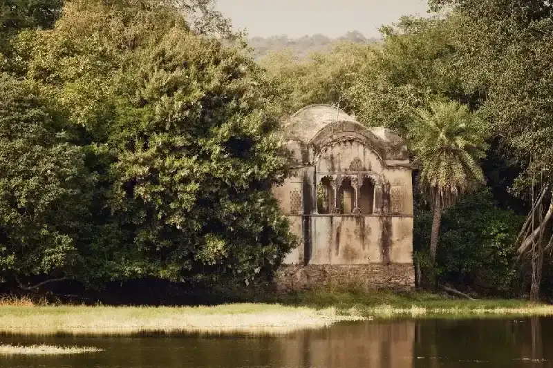 Parque Nacional de Ranthambore