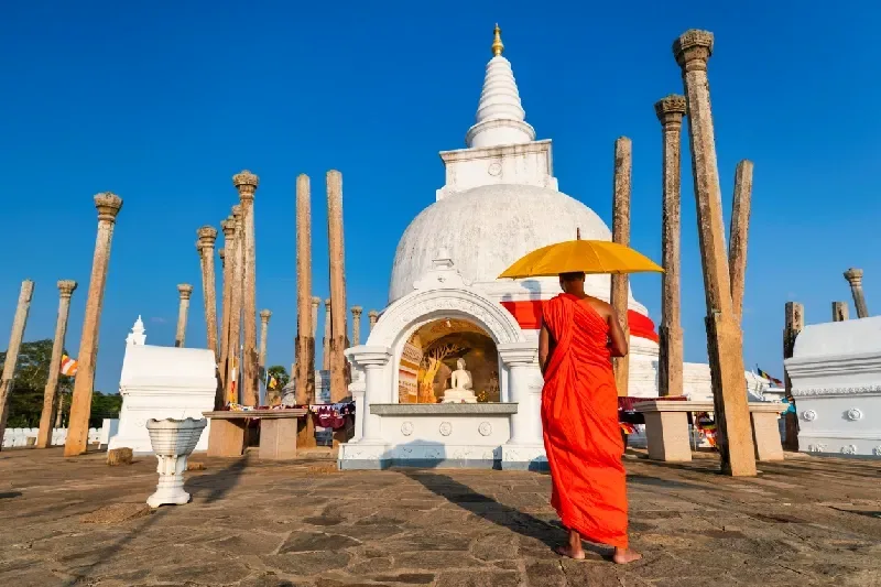 Sri Lankan Buddhist Monk
