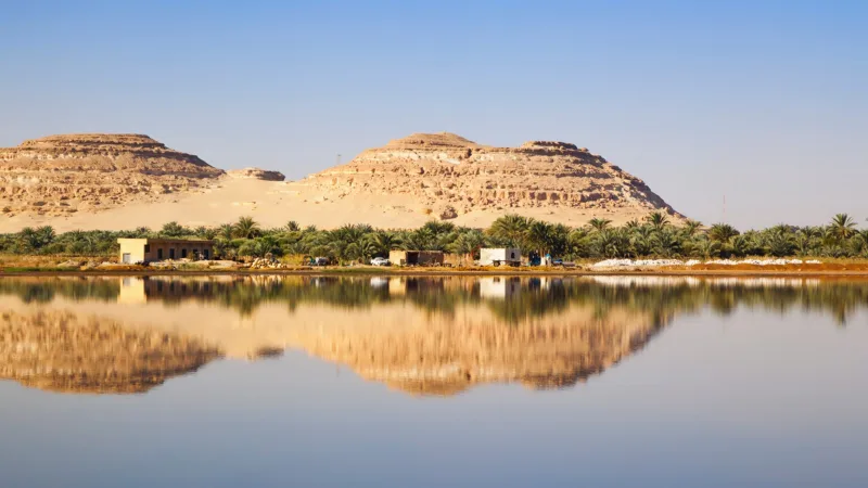Siwa Oasis Protected Area