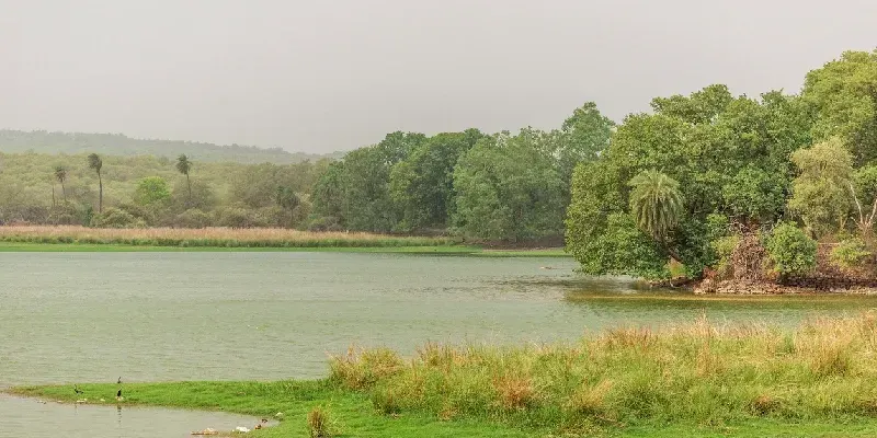 Lago Rajbagh, Parque Nacional de Ranthambore