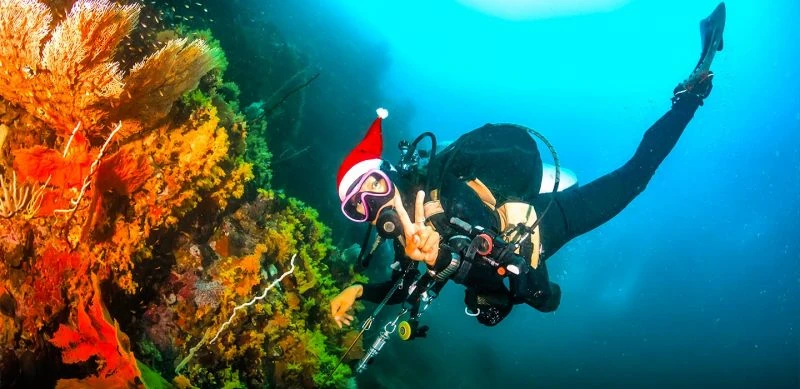Santa diving in Red Sea Egypt, Christmas in Egypt Santa diving in Red Sea Egypt, Christmas in Egypt