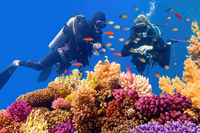 Aktivitäten Hurghada