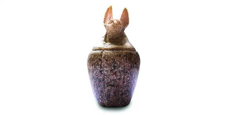 Reproduction of a canopic jar depicting Duamutef, the jackal-headed guardian, made of Aswan red granite, inspired by ancient Egyptian funerary art.