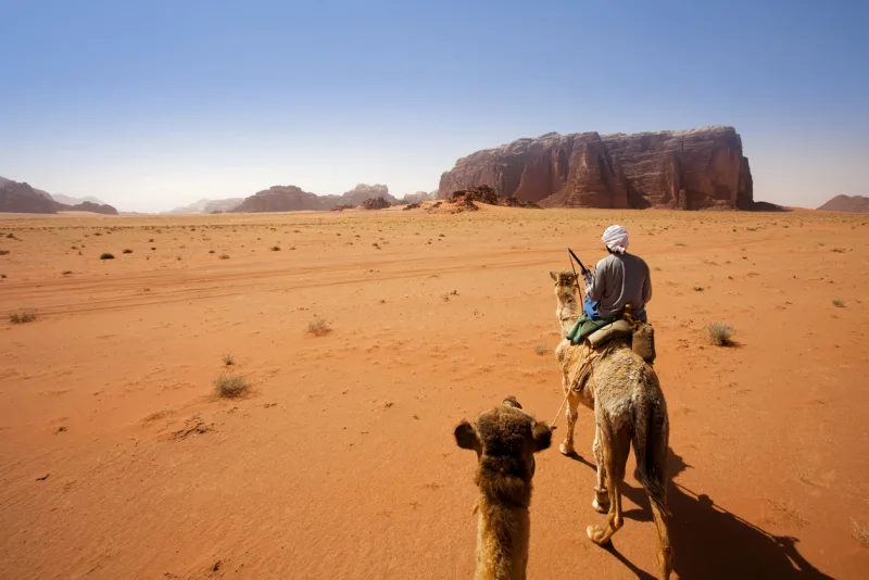 Petra & Wadi Rum Tour from Aqaba