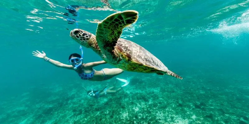 Snorkeling con le tartarughe alle isole Kerama