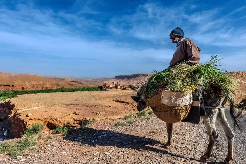 differenza tra kasbah e medina, kasbah cosa è