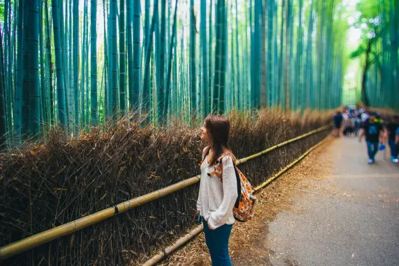 Una viajera camina por un sendero panorámico rodeado de altos árboles de bambú en Kioto, Japón.