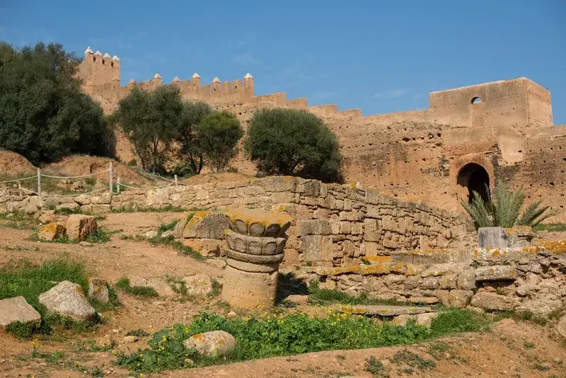  ruinas-romanas-com-capitel-de-coluna-e-muralhas-fortificadas-de-chellah-em-rabat-marrocos
