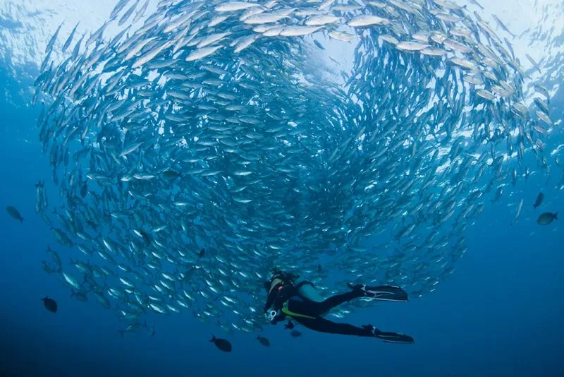Meilleurs spots de plongée au monde