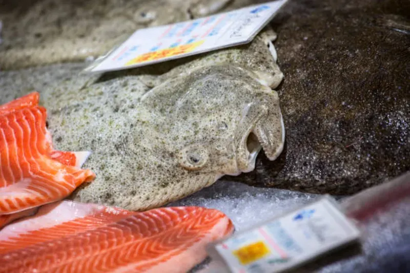 Fisketorget, der berühmte Fischmarkt in Bergen, Norwegen, mit frischem Fisch wie Steinbutt (Turbot) und Lachs, ausgestellt zum Verkauf.