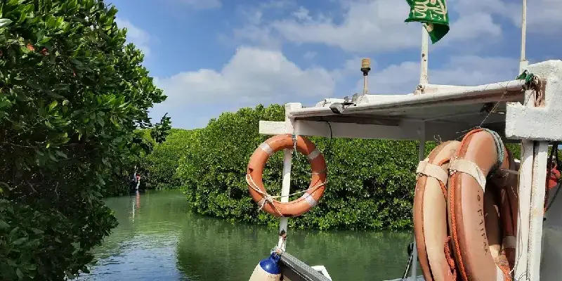 Bosques de las islas Farasan en Jazan, Arabia Saudita.