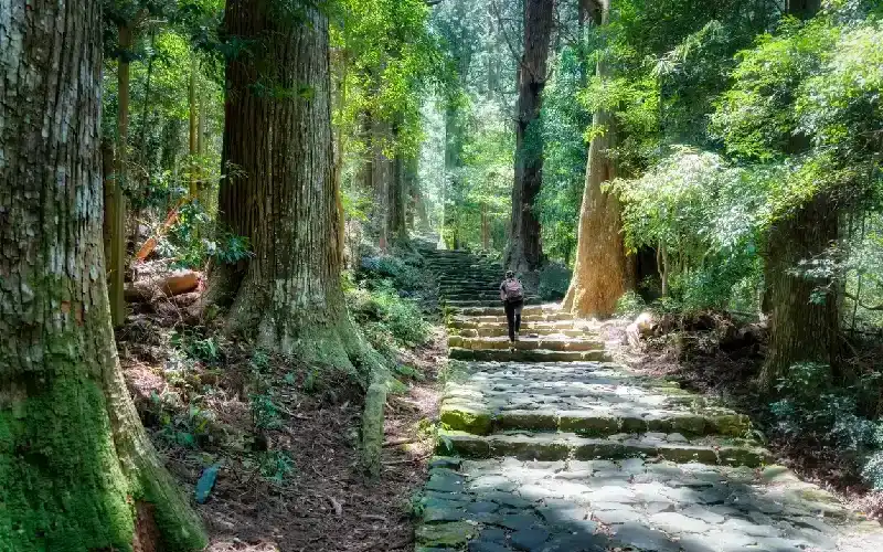 Kumano Kodo