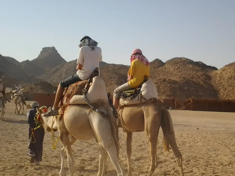 Camel Riding