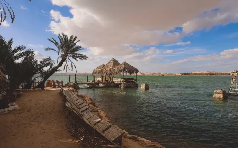 L'oasis de Siwa