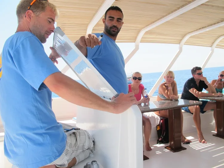 Sataya Dolphin Reef Schnorchelausflug