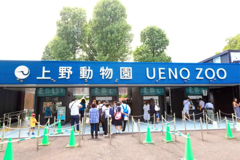 ueno-la-guida-essenziale-al-quartiere-piu-autentico-di-tokyo