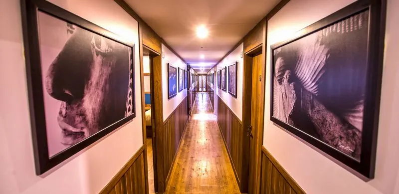 Le Caire et Nebyt Dahabiya en 9 jours