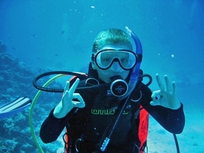 Things to do in The Red Sea and Sinai
