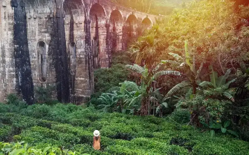 Nine Arch Bridge