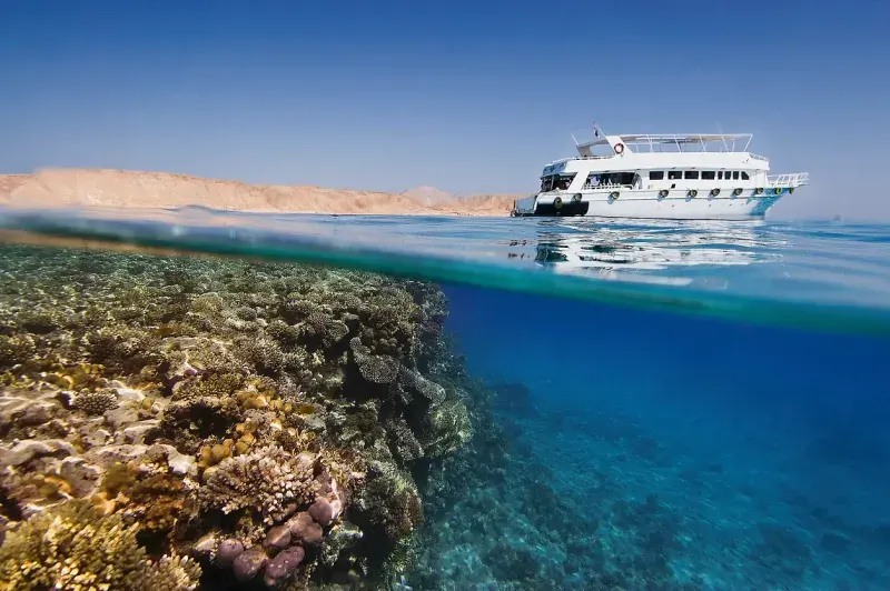 Sharm El Sheikh
